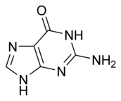 Chemical structure of guanine