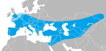 Neanderthal range
