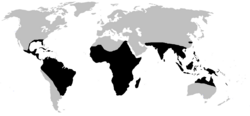 black: range of Crocodilia