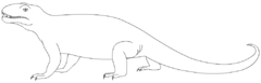 Phtinosuchus1ZICA.png
